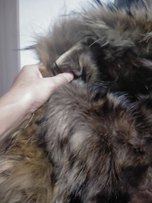 Продам парку натуральную