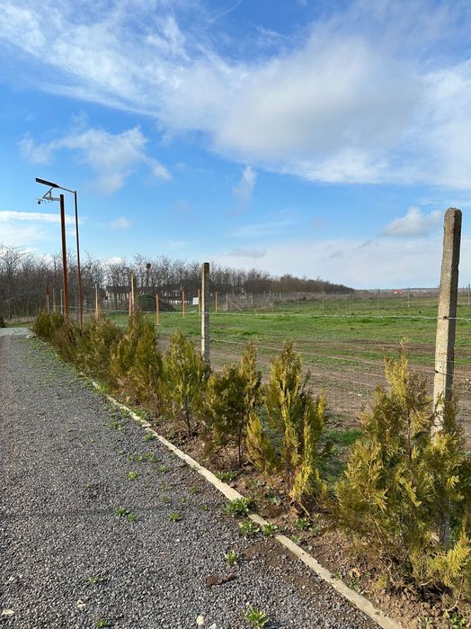 Teren intravilan in Valu