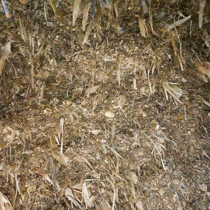 Силос бор 250 тона нархи 1000 сум келишамиз яма очилмаган