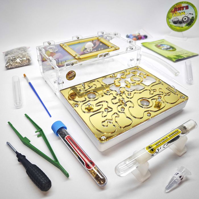 ГИПСОВЫЙ Формикарий "ADVANCED" ||| Муравьиная ферма - Муравьи жнецы