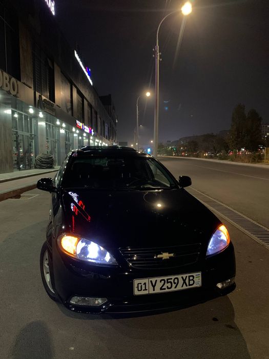 Жентра 2022 кора