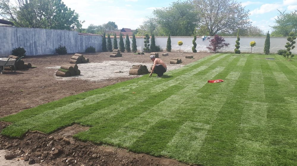 Gazon rulou si insamantare