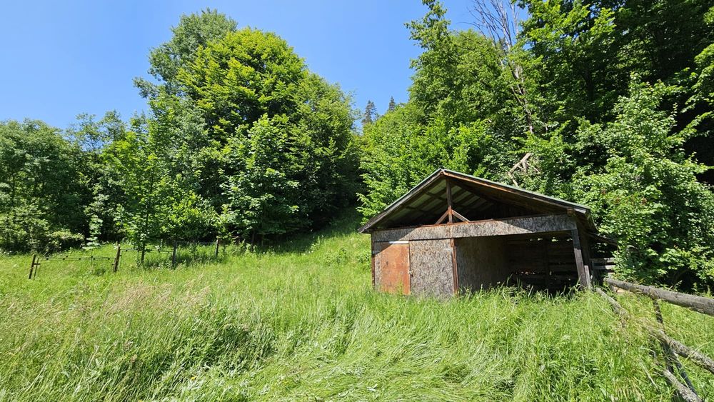 SITA BUZĂULUI – Proprietate deosebită cu teren intravilan 1.600 mp, pârâu, fâneață și pădure