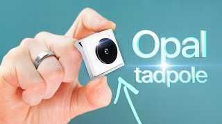 4К 60 FPS веб камера Opal Tadpole из США Новая вебкамера сенсор webcam