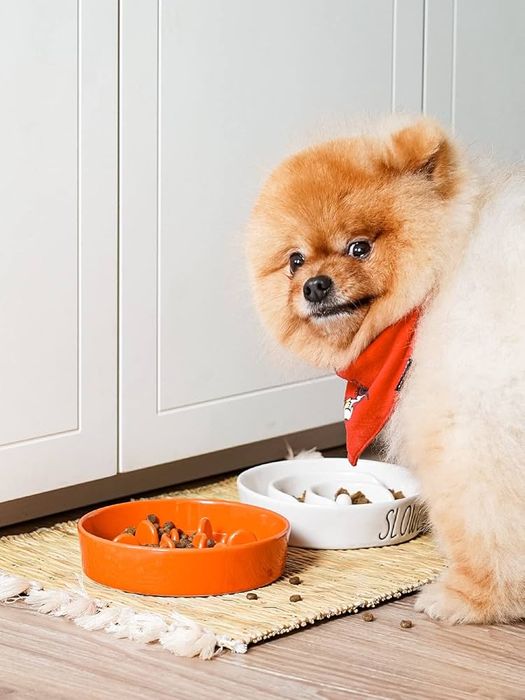 Bol ceramic pentru câini de talie mică, 0,6 căni-  Le tauci