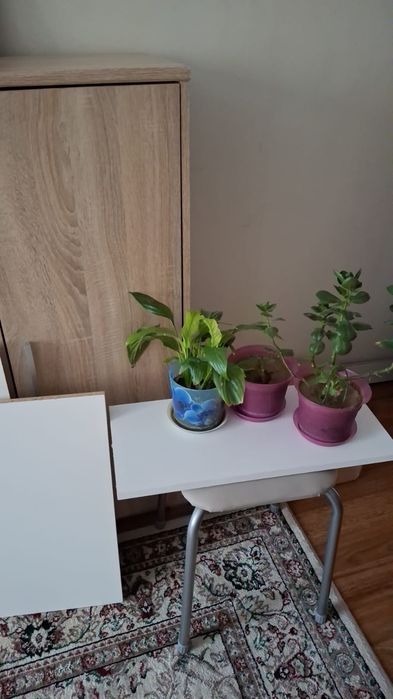 Продам полки, 3 шт