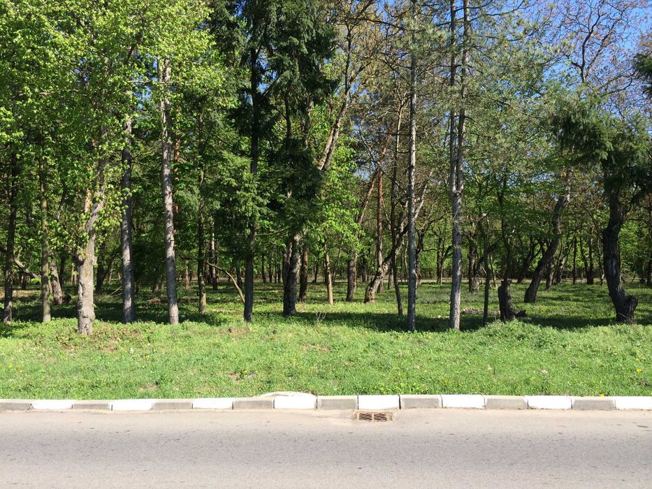 Vand teren 7.000 mp Snagov Sat (Soseaua Snagov)