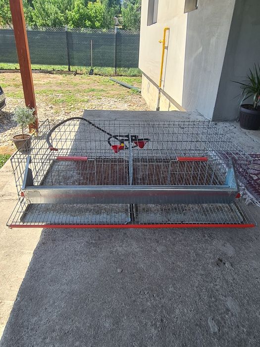 Cușcă prepelițe 50 capete