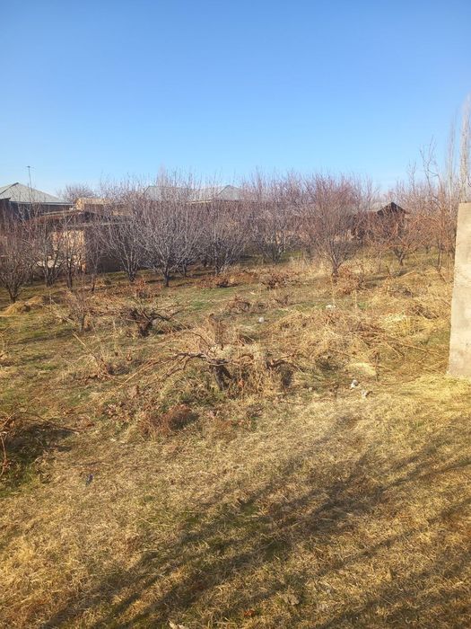 Земелний участка прадаётся 13,5 сот паркент,невич.Yer uchastka sotilad