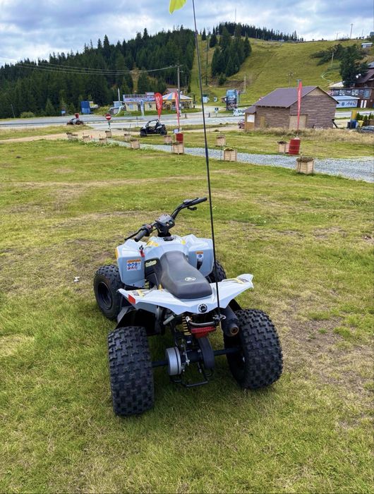 Can Am Renegade 110 Atv copii