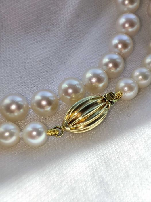 Colier aur 14k perle naturale apa sarata Perla Akoya Oyster certificat