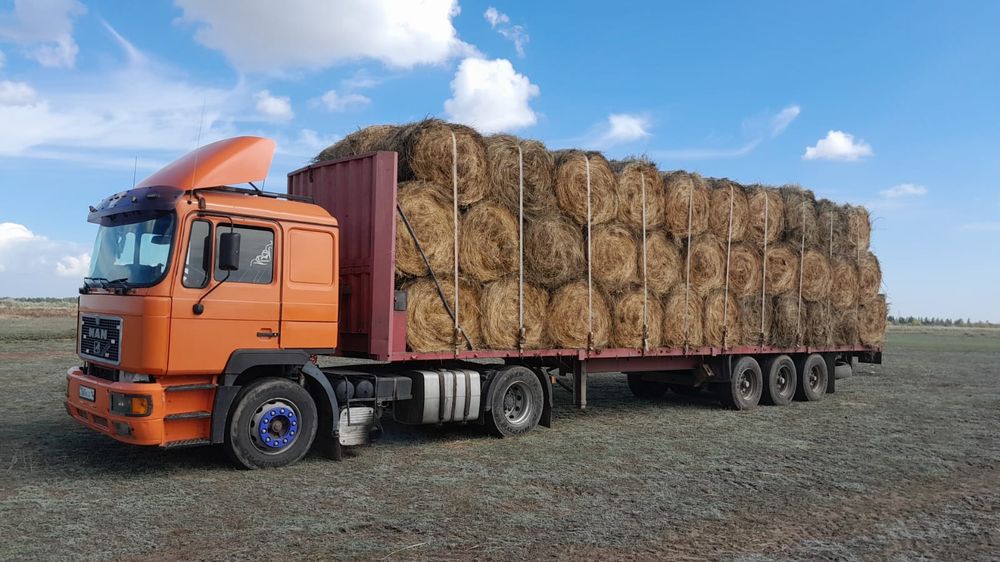 У.с.л.у.г.и. Ка.ма.за дли.но.ме.ра.. Город-Межгород