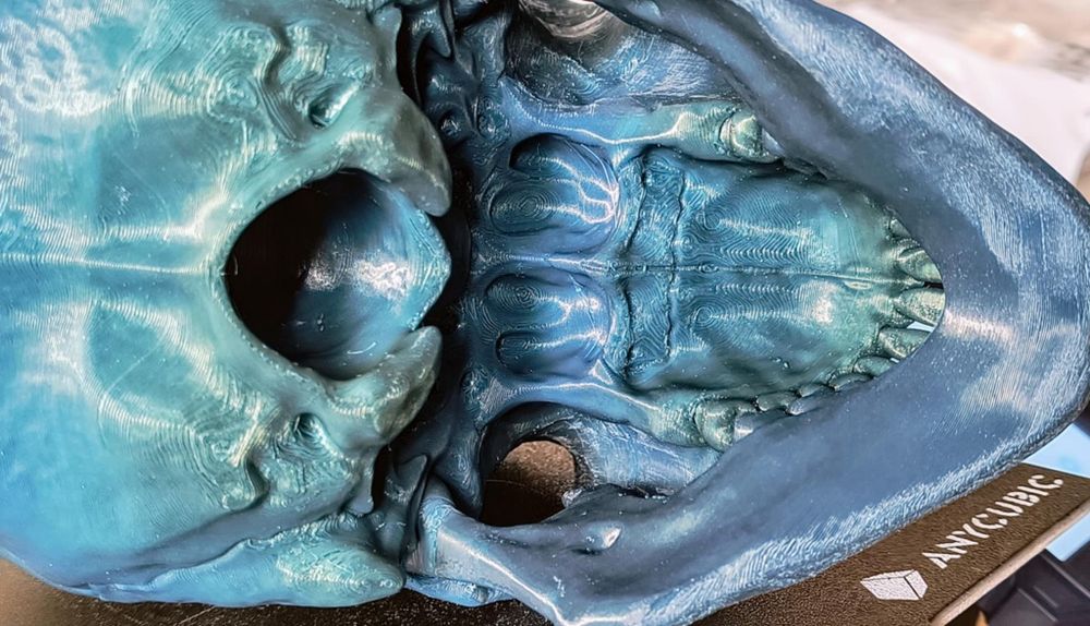 3D принтиран анатомичен череп – детайлен и стилен декор