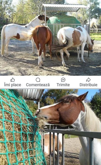 Plasă de fân pentru cai