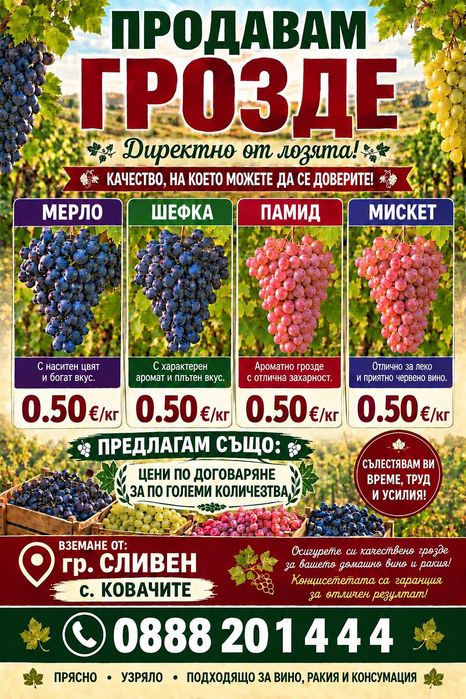 Продавам ГРОЗДЕ гр. Сливен