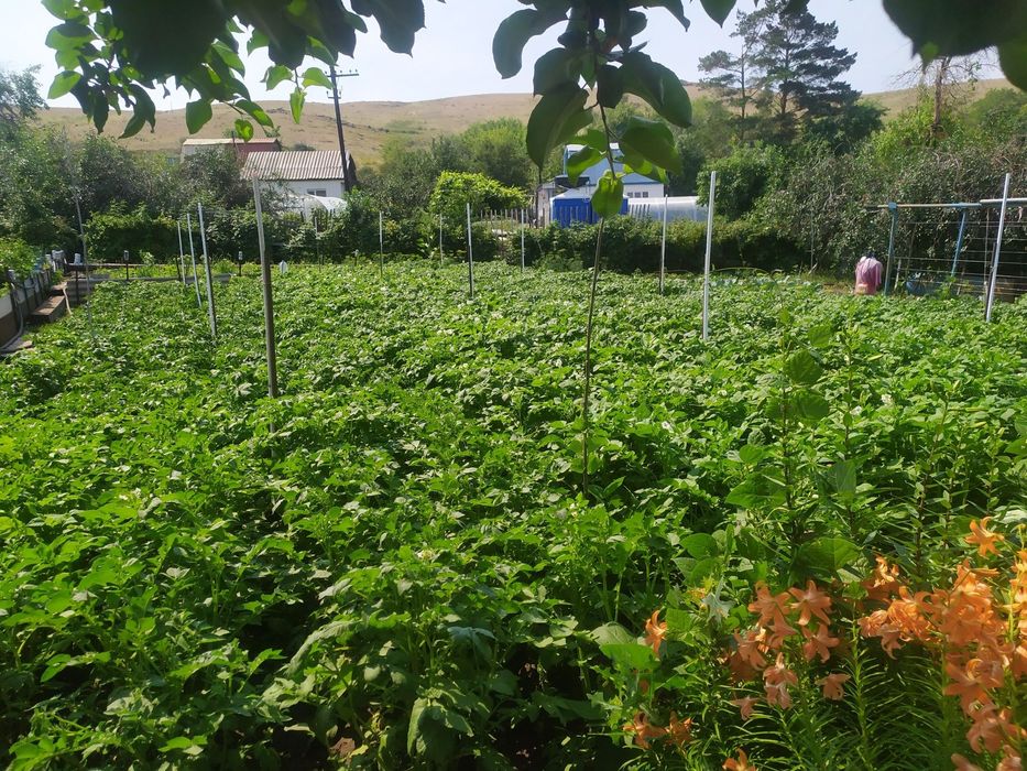 Продам дачу для души