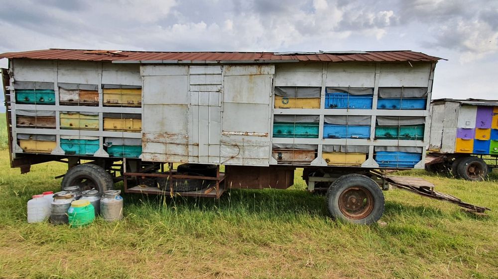Продам пчеловодный прицеп