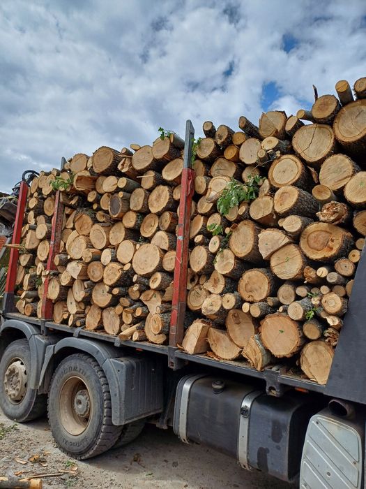 Дърва за огрев - Бук, Дъб, Бор, Трепетлика
