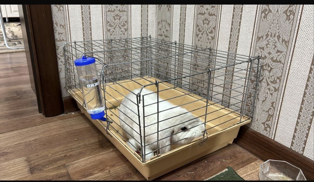 Клетка для кролика