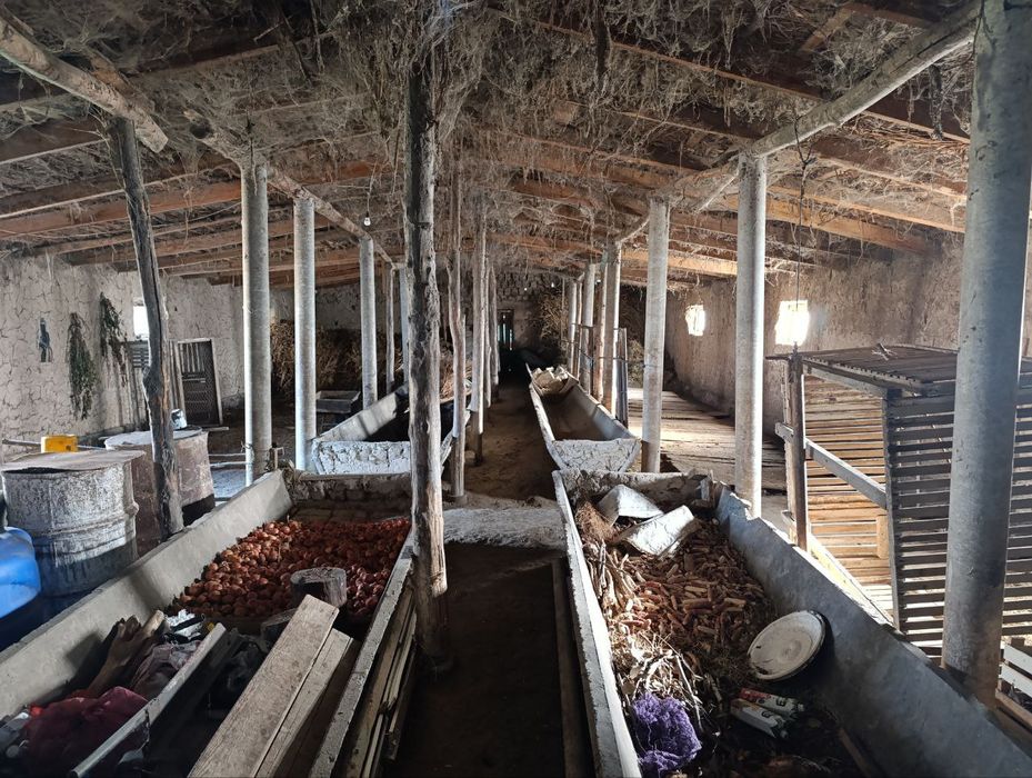 Molxona sotiladi - Sirdaryo viloyati Sayxunobod tumani