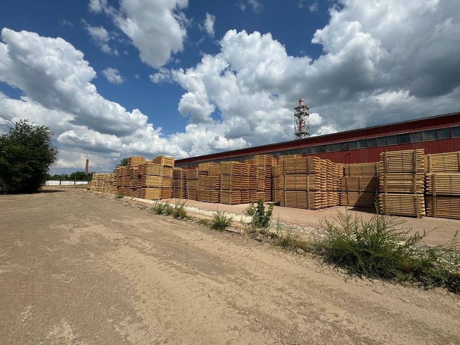 Продам колья деревянные.