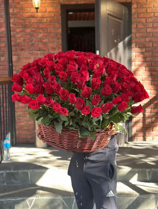 Пионы, голландские