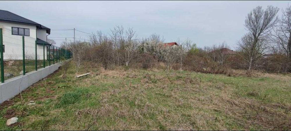 Teren intravilan Caciulați, Moara Vlasiei, Ilfov