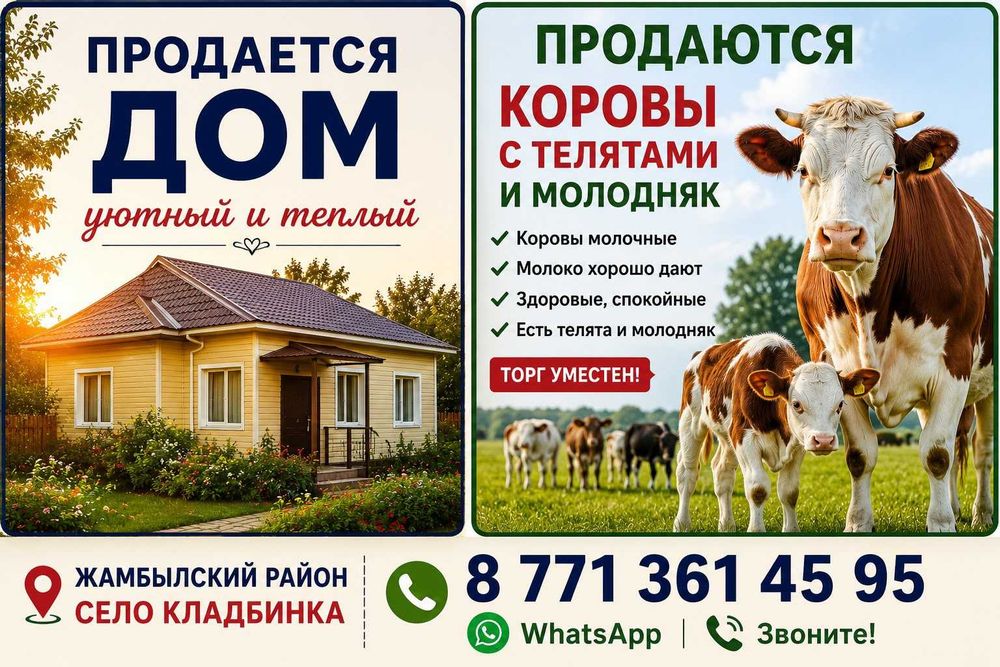 Продам коров с телятями