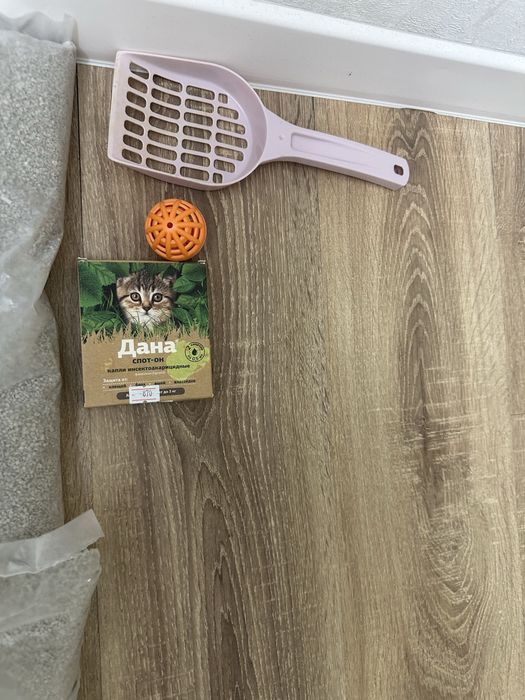 Продам набор для котенка