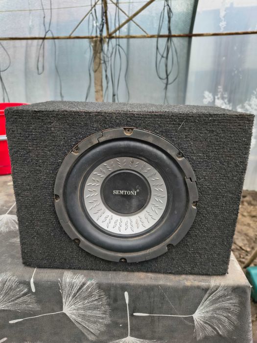 Woofer auto + statie Magnat