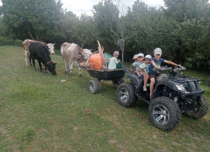 Vând ATV 200 cm automat an  2024 cu 800 km făcuți
