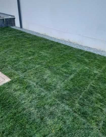 Montaj Gazon Rulou din Pepinieră – Transport și Irigare Asigurate