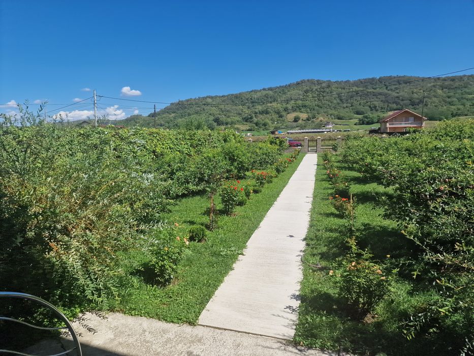 Casa/Vilă Buhoci,județul Bacău