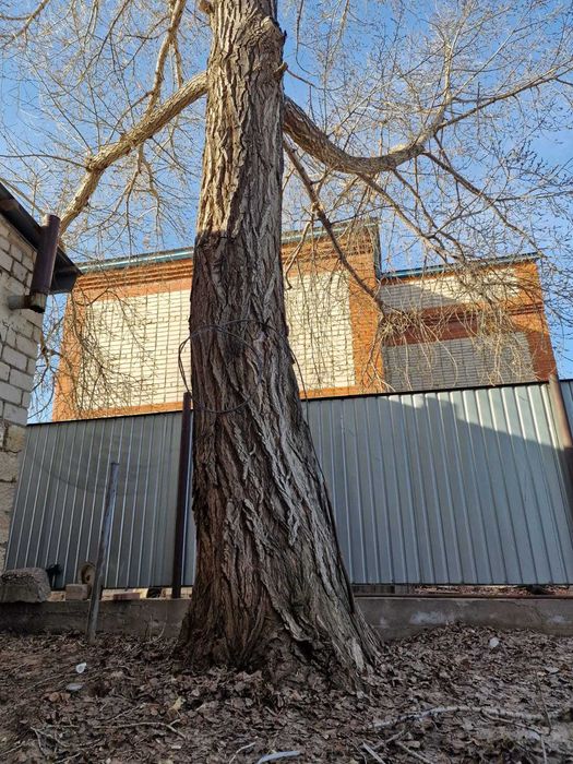 Спил обрезка аварийных леревьев