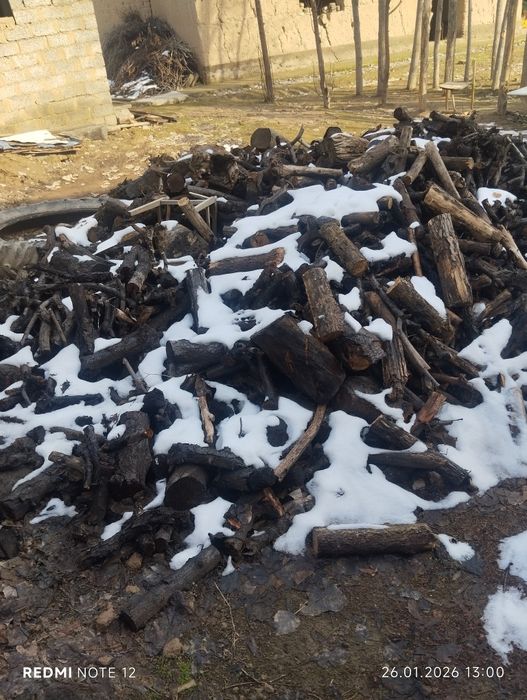 Oʻtinlar bor aralash pechkaga yoqishga tayyor