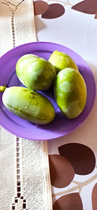 Asimina triloba, Асимина, Пау-пау, Индиански банан