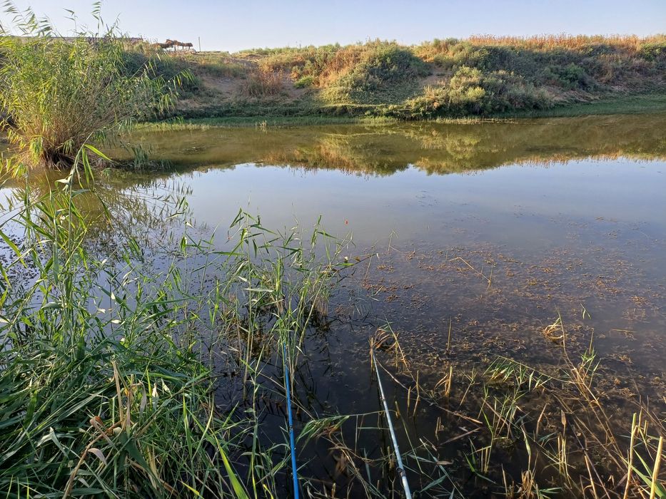 Баликхона узок муддатли ижарага берилади.