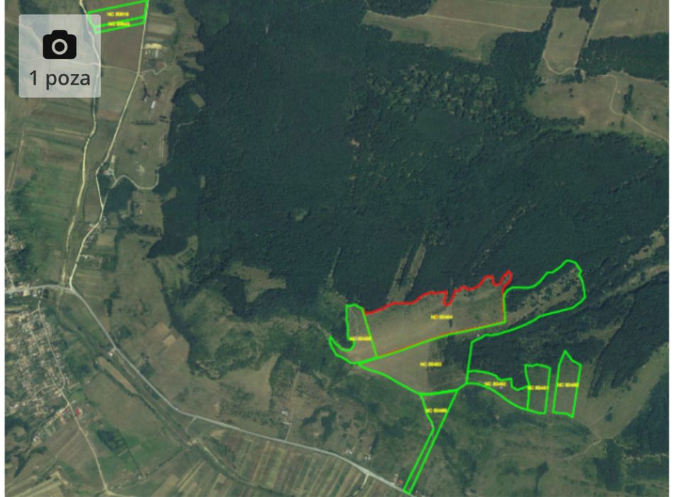 48 Hectare Prunisor Mehedintii