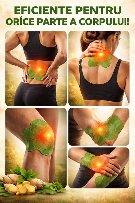 100 Plasturi Pelin pentru casa