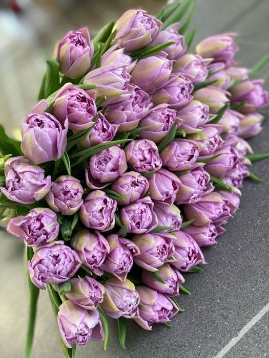 Тюльпаны на 6,7,8 марта оформление