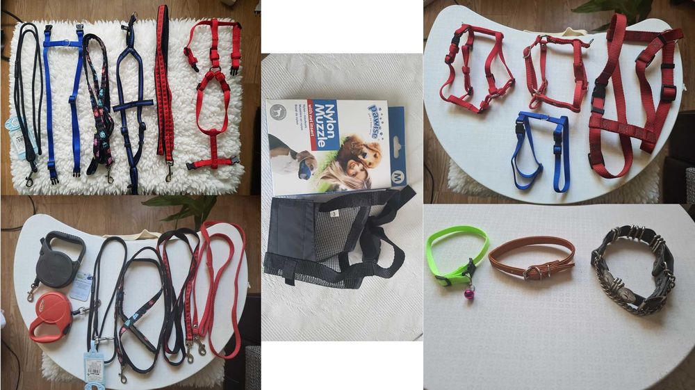 Articole animale: Lesa, Ham, Zgarda, Botnita, Boluri, Perie, Jucarii