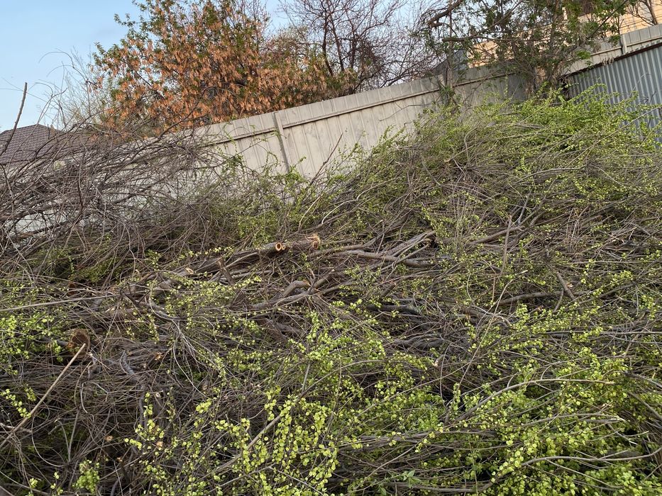 Продам дрова.