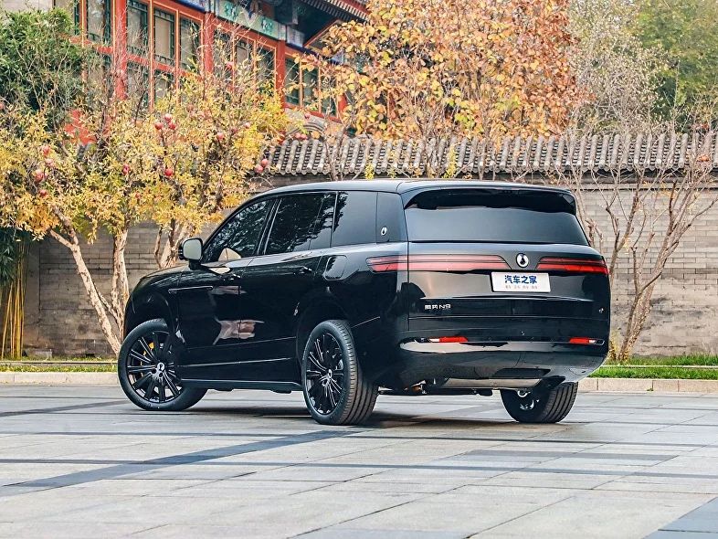 Denza N9 под заказ от Terra Auto