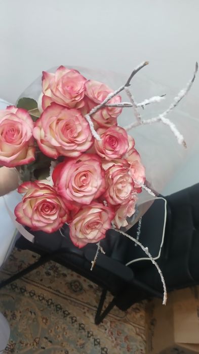 Раушан гүл роза , роза , роза