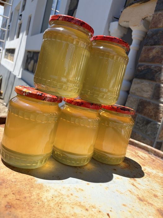 Miere de salcâm și miere polifloră (floarea-soarelui) – naturală, 800 g sau cantitati mari.