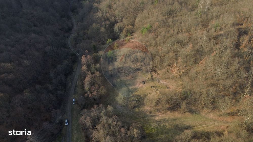 Poiană pentru cabana de vanzare intravilan Coas
