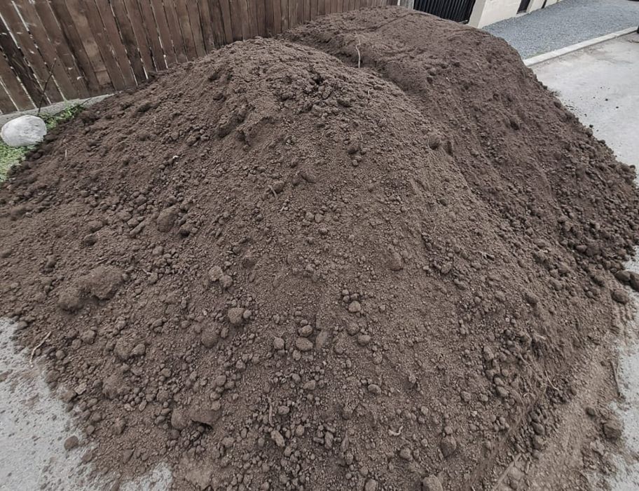 Pamant vegetal (negru)