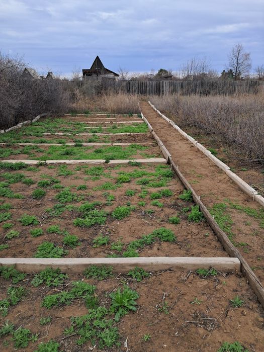 Продаётся дача ухоженная