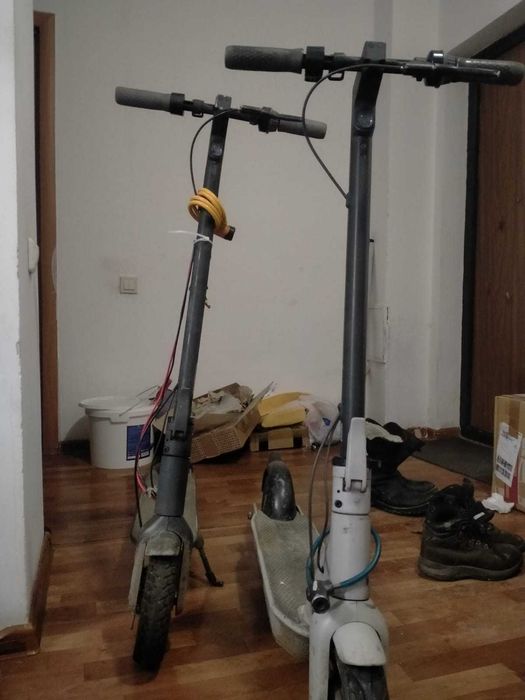 Два электросамоката Ninebot max G30p и G30 LP