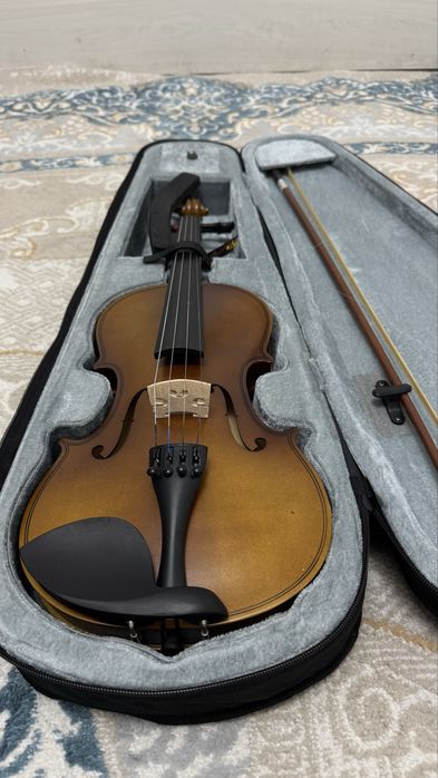 Скрипка новый жаңа